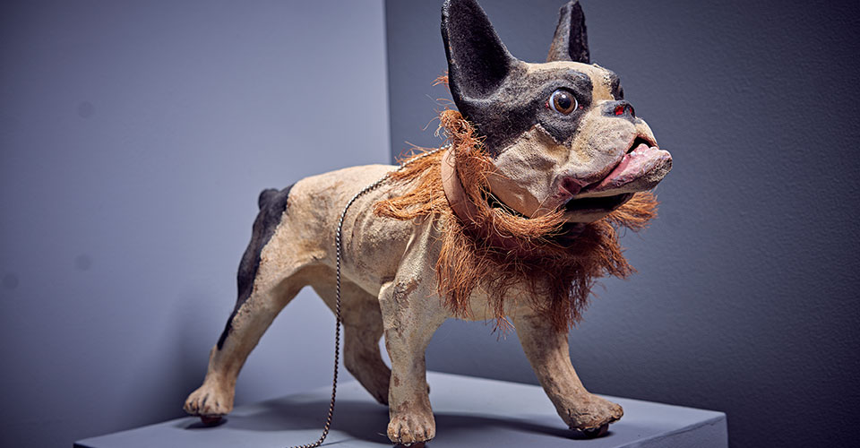 Dog-French-EM-1
