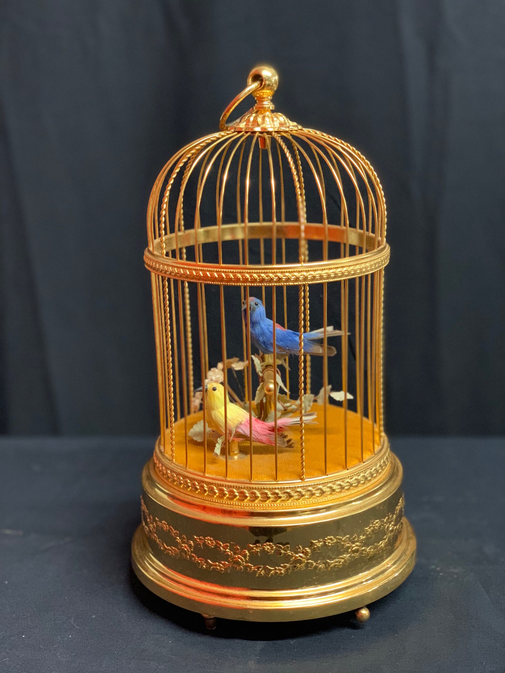 cages for birds
