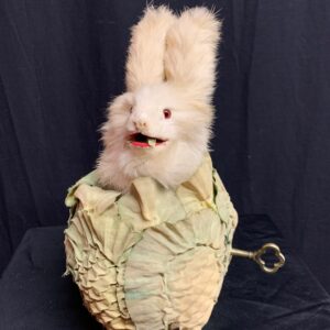 Rabbit in a Cabbage Up
