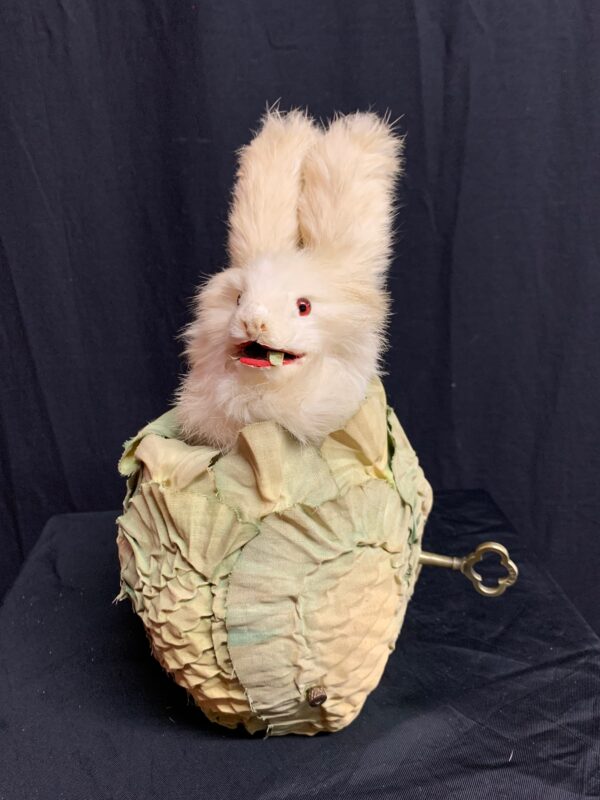 Rabbit in a Cabbage Up