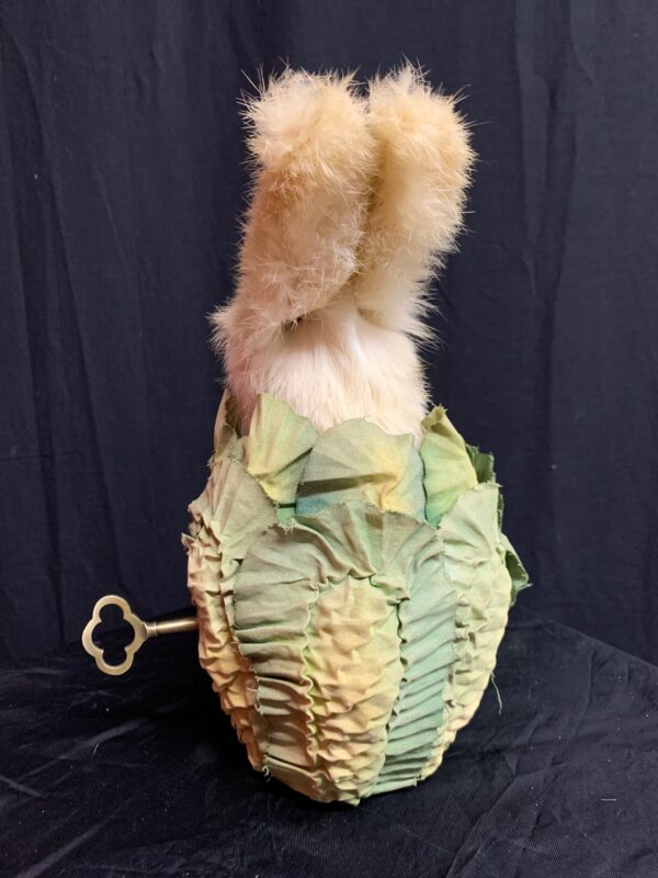 Rabbit in a Cabbage back