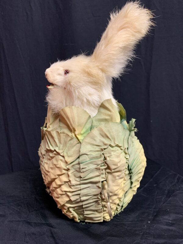 Rabbit in a Cabbage side