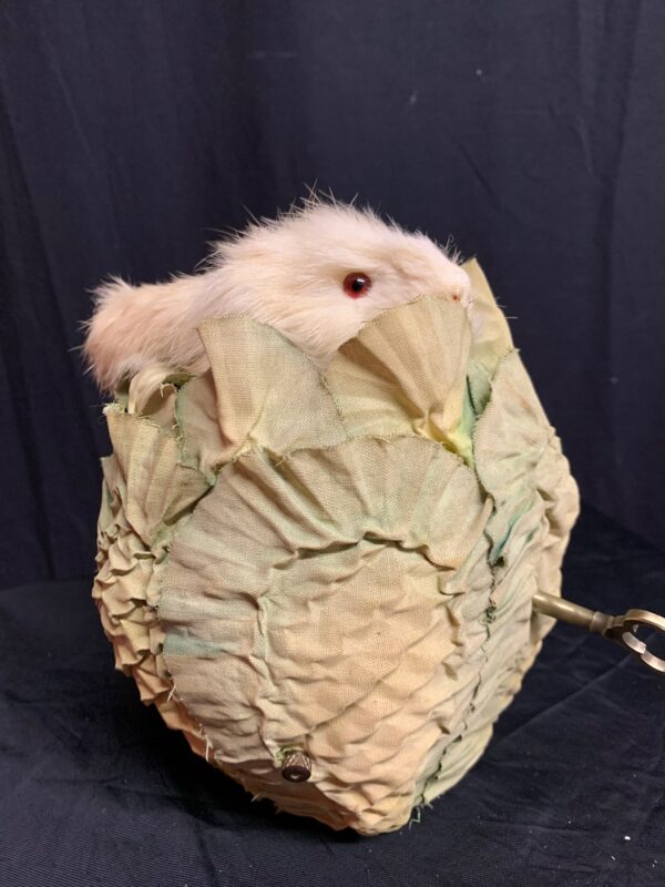 Rabbit in a Cabbage Down